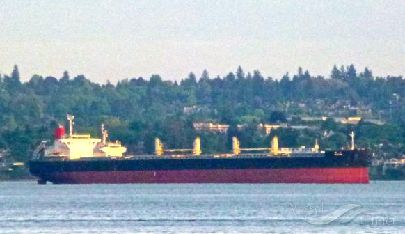 minami (Bulk Carrier) - IMO 9609483, MMSI 370221000, Call Sign 3FWN6 under the flag of Panama
