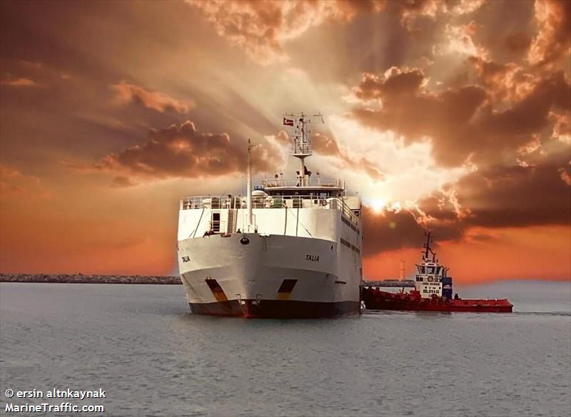 talia (Livestock Carrier) - IMO 7910888, MMSI 450569000, Call Sign ODWN under the flag of Lebanon