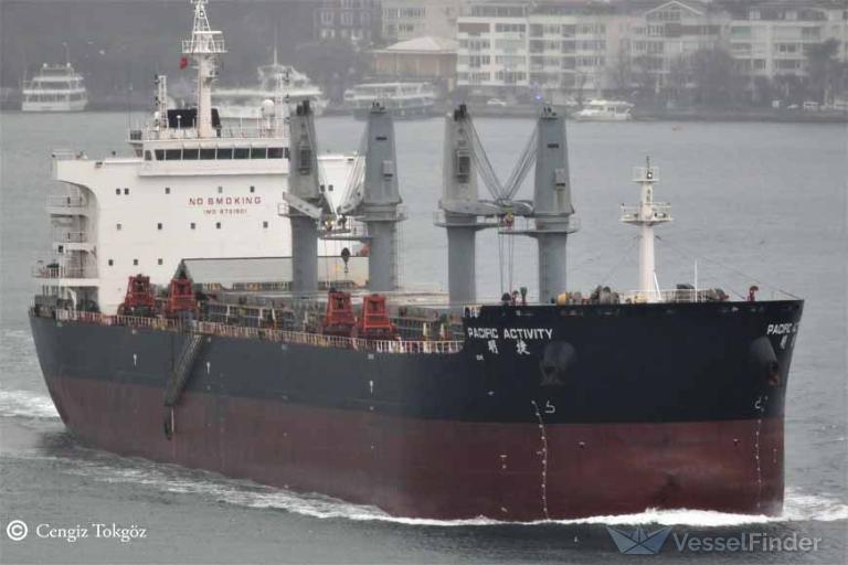 pacific activity (Bulk Carrier) - IMO 9731901, MMSI 477112100, Call Sign VRQP3 under the flag of Hong Kong