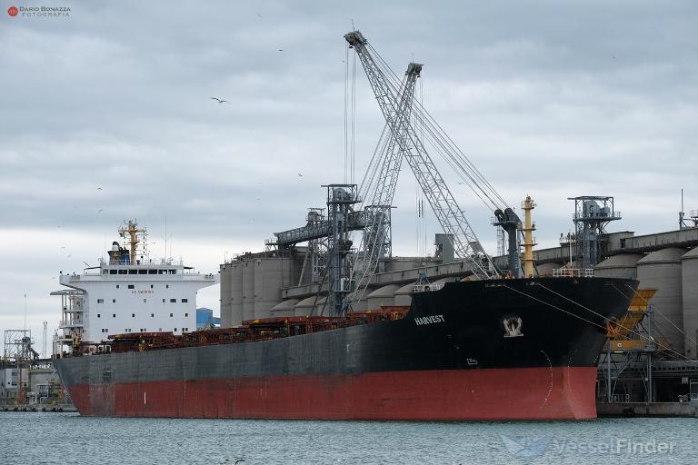 harvest (Bulk Carrier) - IMO 9297931, MMSI 538008774, Call Sign V7A2743 under the flag of Marshall Islands