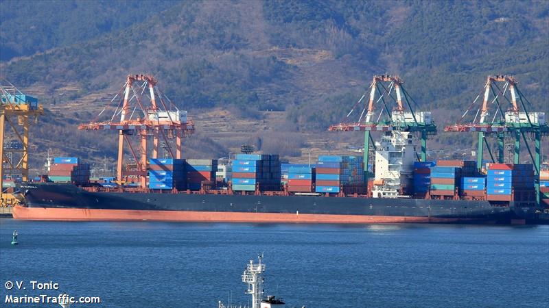 vulpecula (Container Ship) - IMO 9430789, MMSI 636019718, Call Sign A8RW5 under the flag of Liberia