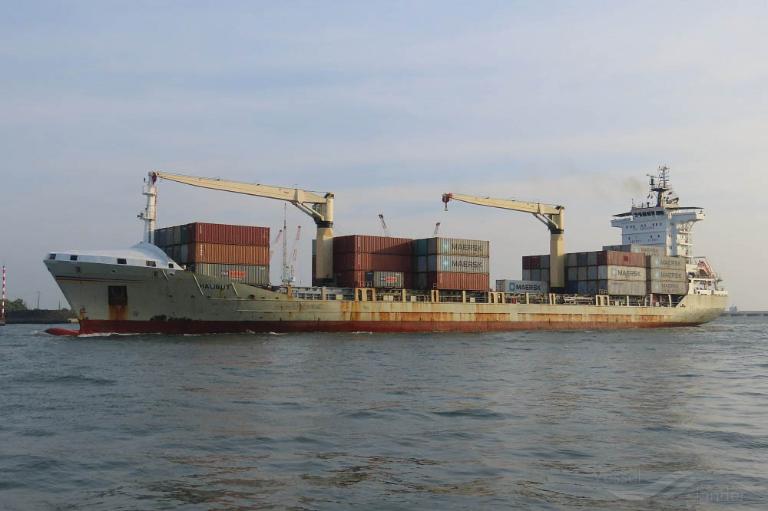halibut (Container Ship) - IMO 9306275, MMSI 636019887, Call Sign D5WP9 under the flag of Liberia