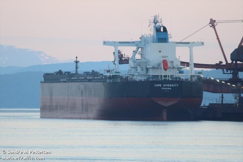 cape diversity (Bulk Carrier) - IMO 9936745, MMSI 352002315, Call Sign 3E2249 under the flag of Panama