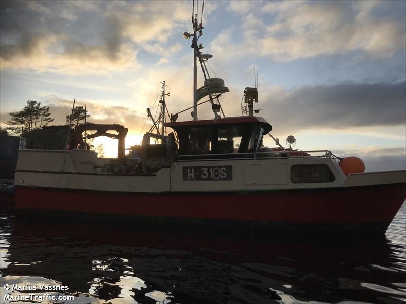 strilajento ii (Fishing vessel) - IMO , MMSI 257305940, Call Sign LM5034 under the flag of Norway