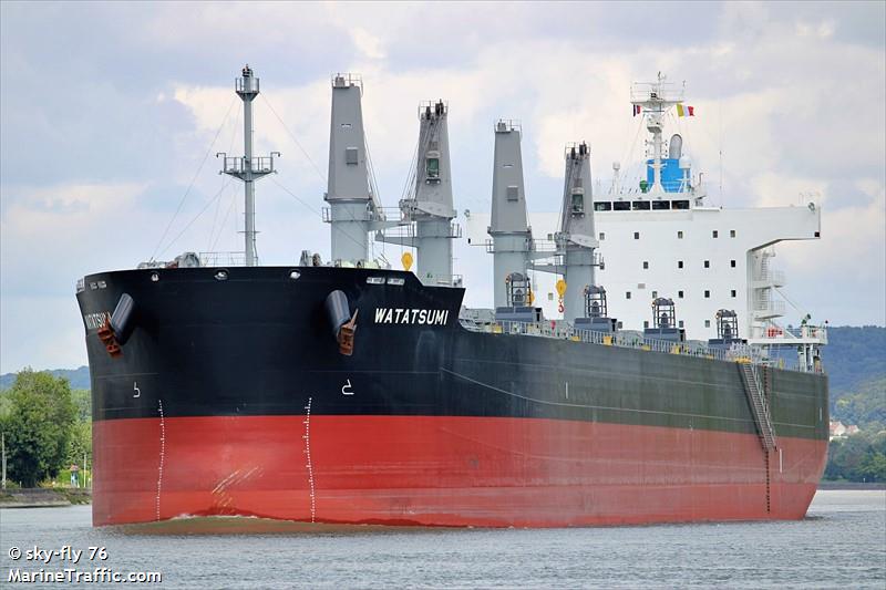 watatsumi (Bulk Carrier) - IMO 9951795, MMSI 352002400, Call Sign 3E3864 under the flag of Panama