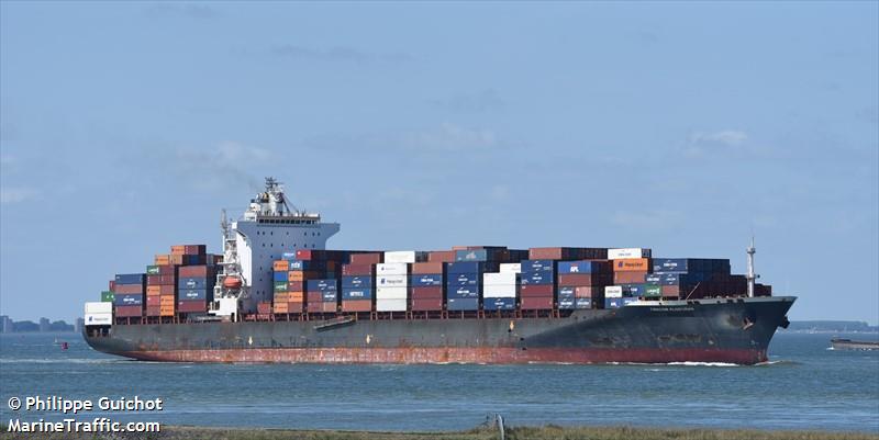 sft turkey (Container Ship) - IMO 9238753, MMSI 352002487, Call Sign 3E2328 under the flag of Panama