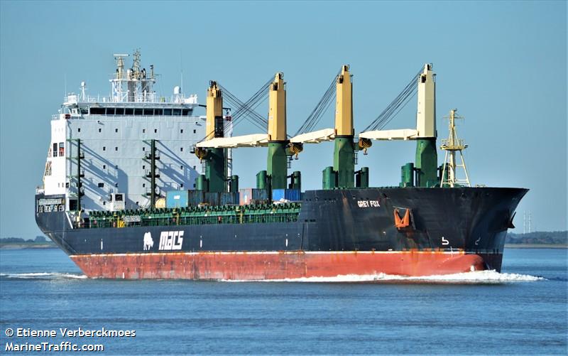 grey fox (General Cargo Ship) - IMO 9594470, MMSI 538090635, Call Sign V7A6134 under the flag of Marshall Islands