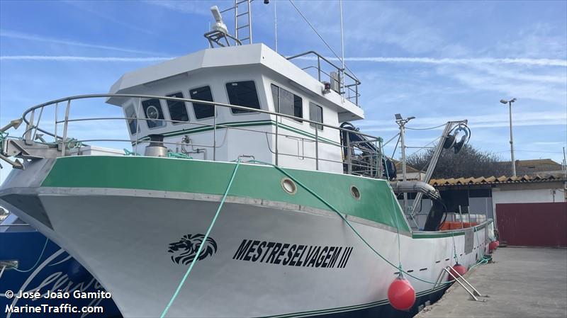 mestre selvagem iii (Fishing vessel) - IMO , MMSI 603100456, Call Sign D3P5553 under the flag of Angola