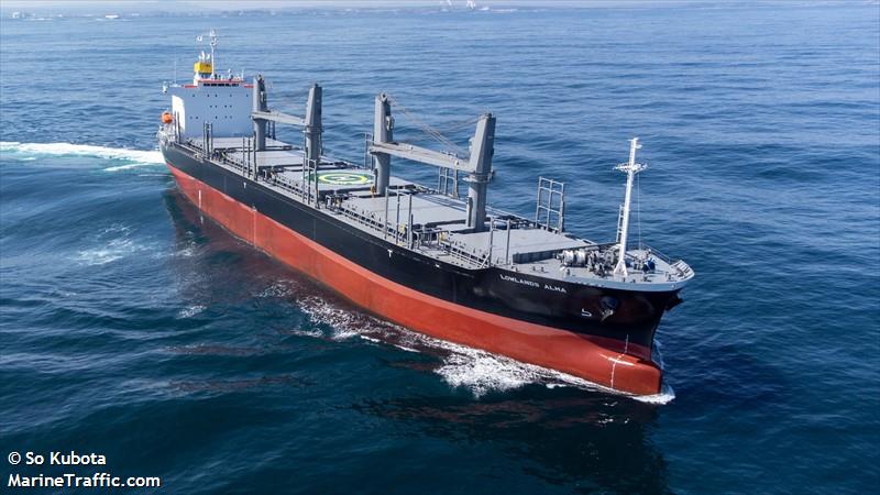 lowlands alma (Bulk Carrier) - IMO 9959436, MMSI 352002472, Call Sign 3E2313 under the flag of Panama
