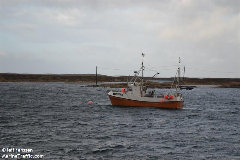 baaregutt (Fishing vessel) - IMO , MMSI 257330120, Call Sign LM6351 under the flag of Norway