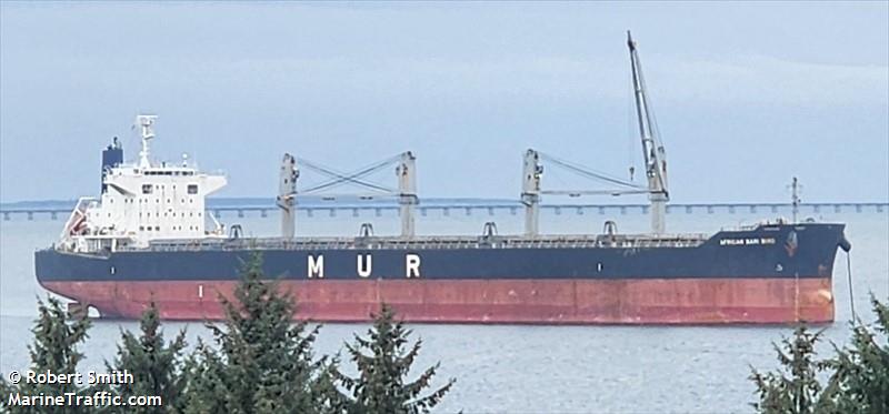 african bari bird (Bulk Carrier) - IMO 9782948, MMSI 311001246, Call Sign C6GH3 under the flag of Bahamas