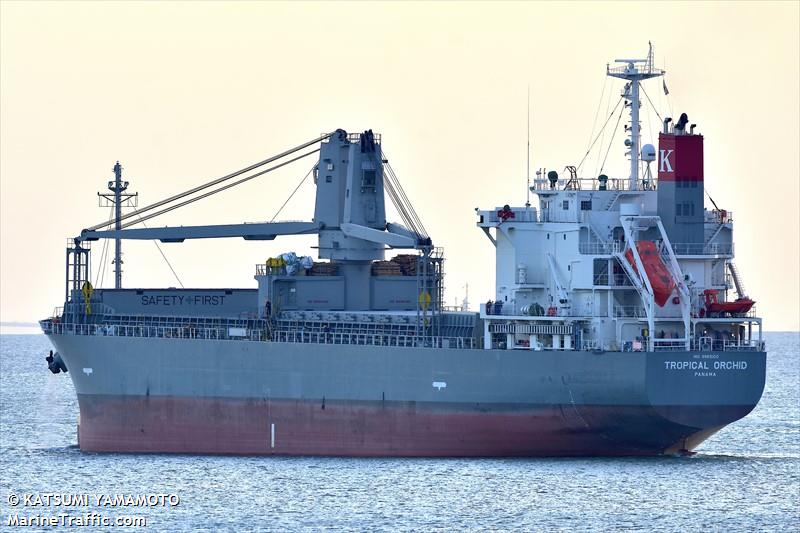 tropical orchid (General Cargo Ship) - IMO 9965100, MMSI 352002343, Call Sign 3E2273 under the flag of Panama
