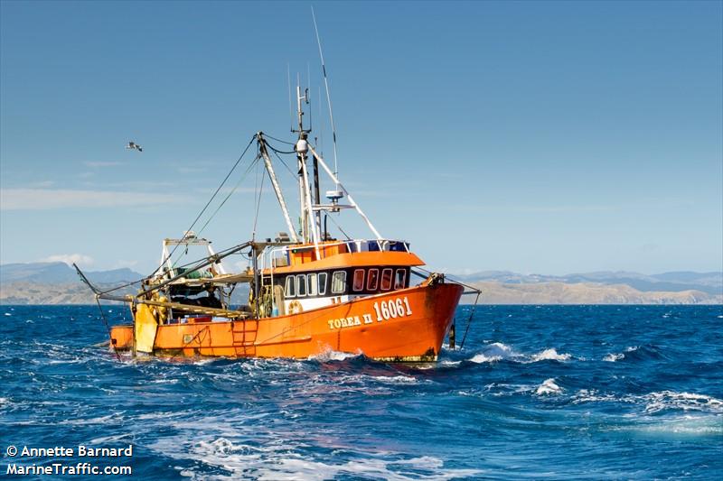 torea ii (Fishing vessel) - IMO , MMSI 512001076, Call Sign ZM 2907 under the flag of New Zealand