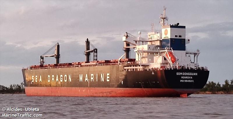 sdm dongguan (Wood Chips Carrier) - IMO 9949211, MMSI 636022816, Call Sign 5LKP3 under the flag of Liberia