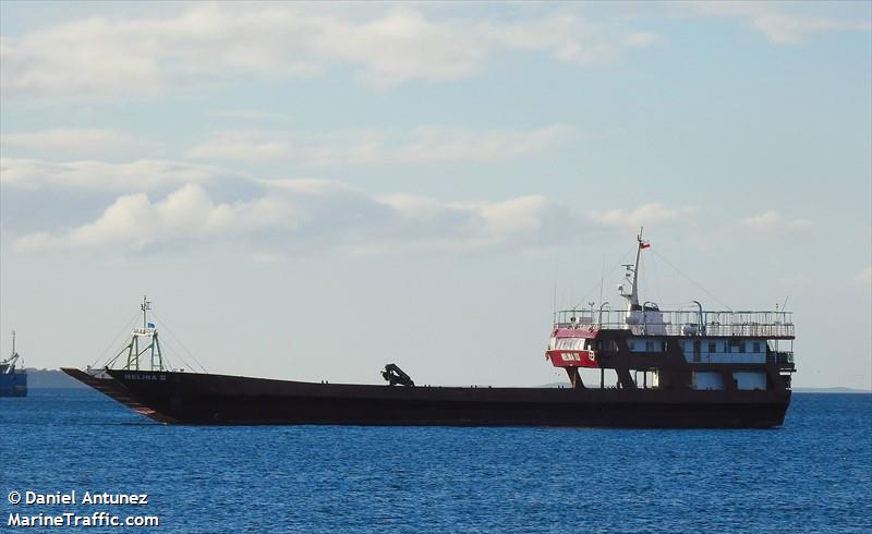 melina iii (Other type) - IMO , MMSI 725000895 under the flag of Chile