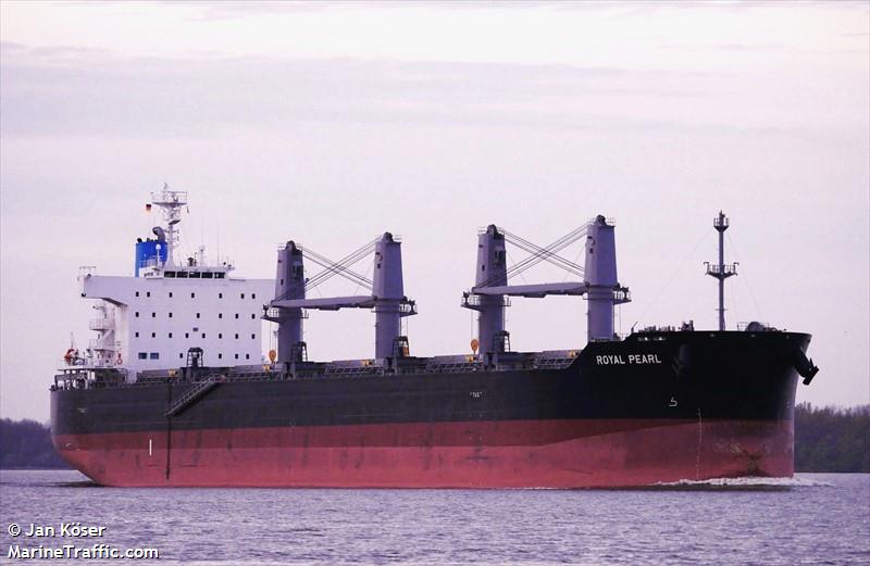 royal pearl (Bulk Carrier) - IMO 9941972, MMSI 352002433, Call Sign 3E4088 under the flag of Panama