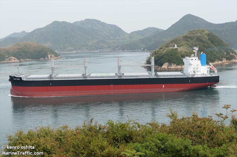 ocean azure (Bulk Carrier) - IMO 9960150, MMSI 352002489, Call Sign 3E2643 under the flag of Panama