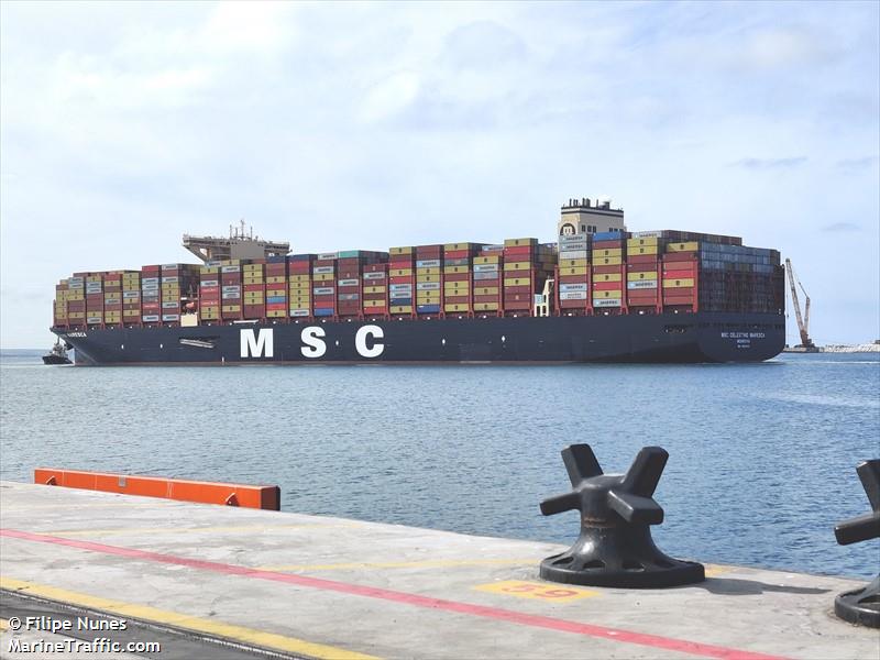 msc celestinomaresca (Container Ship) - IMO 9930040, MMSI 636022516, Call Sign 5LJE3 under the flag of Liberia