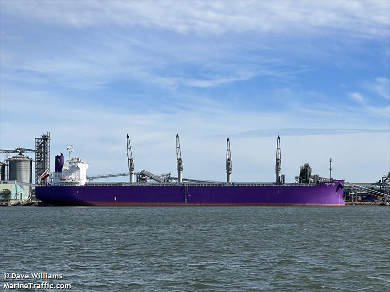 vitality diva (Bulk Carrier) - IMO 9951903, MMSI 352002496, Call Sign 3E2649 under the flag of Panama