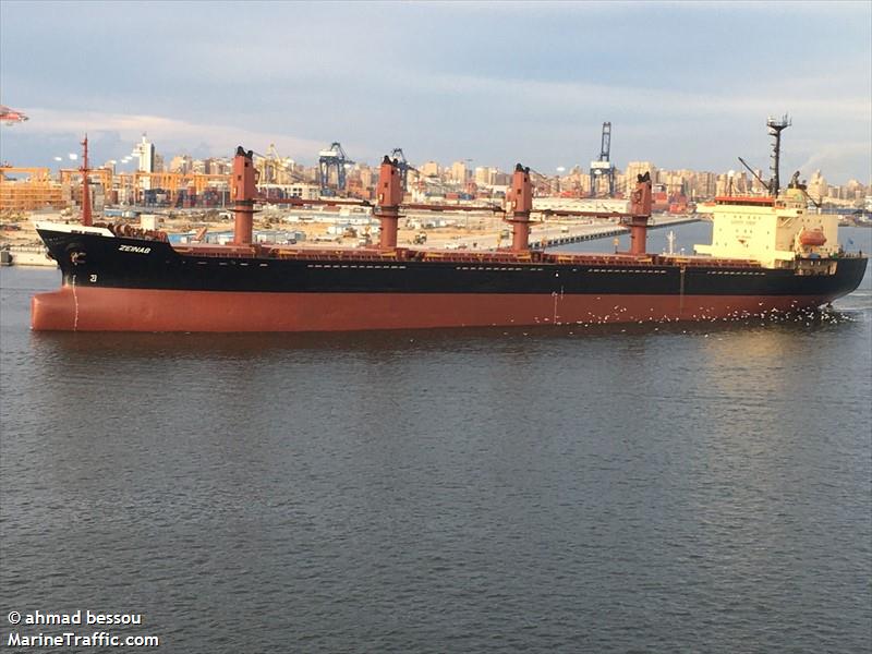 zeinab (Bulk Carrier) - IMO 9070424, MMSI 511100933, Call Sign T8A4156 under the flag of Palau