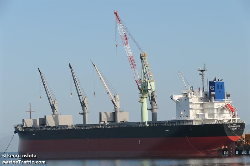 pavo breeze (Bulk Carrier) - IMO 9965461, MMSI 352002520, Call Sign 3E3884 under the flag of Panama