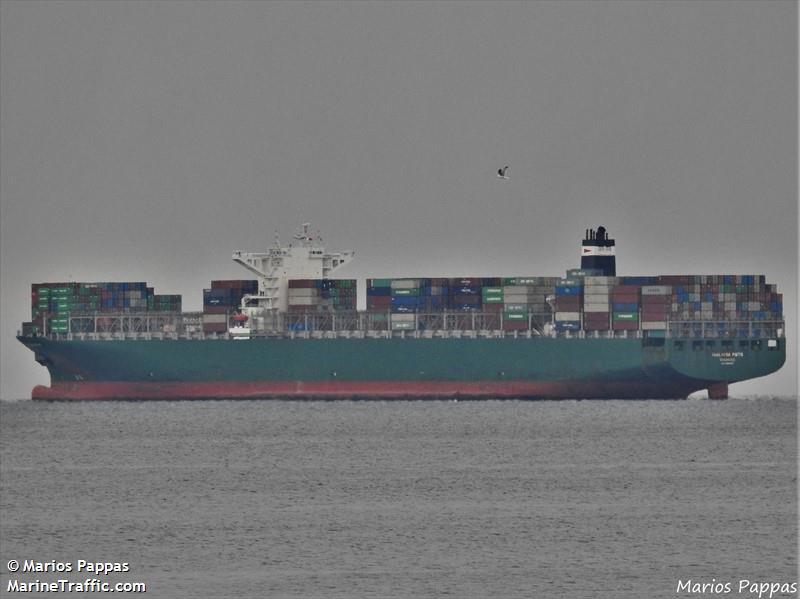 thalassa pistis (Container Ship) - IMO 9665619, MMSI 219361000, Call Sign OYKF2 under the flag of Denmark