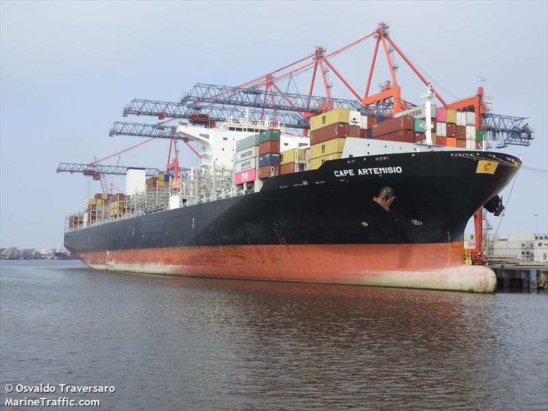 cape artemisio (Container Ship) - IMO 9777175, MMSI 248140000, Call Sign 9HA4529 under the flag of Malta