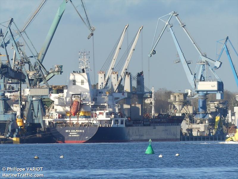 sea dolphin c (Bulk Carrier) - IMO 9486427, MMSI 255806239, Call Sign CQAP5 under the flag of Madeira
