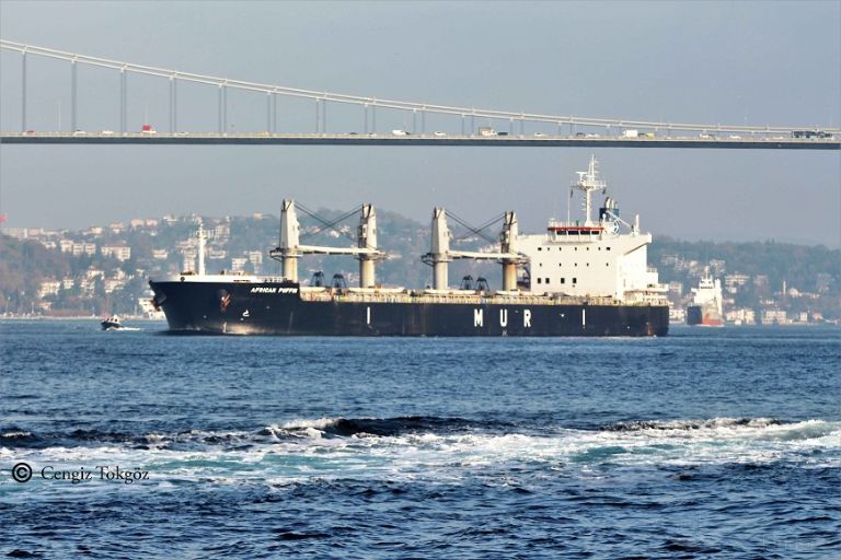 african puffin (Bulk Carrier) - IMO 9636448, MMSI 311000789, Call Sign C6DU8 under the flag of Bahamas