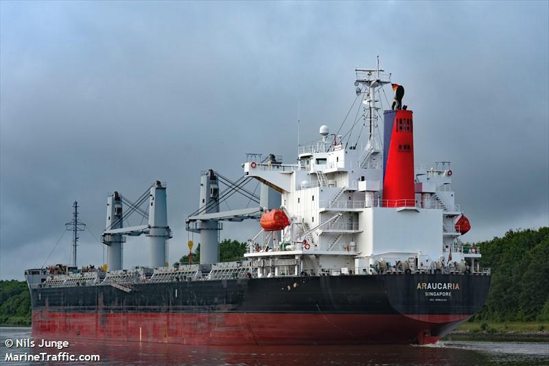 araucaria (General Cargo Ship) - IMO 9788801, MMSI 351454000, Call Sign H8EO under the flag of Panama