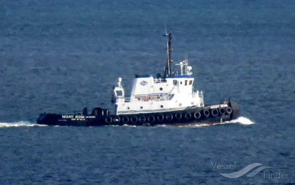 michael l.daigle (Tug) - IMO 8973095, MMSI 368085860, Call Sign WDK7589 under the flag of United States (USA)