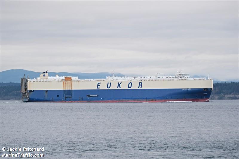 morning lisa (Vehicles Carrier) - IMO 9383417, MMSI 370967000, Call Sign 3FRO6 under the flag of Panama