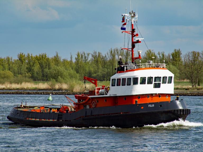 felis (Tug) - IMO 7208613, MMSI 375177000, Call Sign J8B4754 under the flag of St Vincent & Grenadines