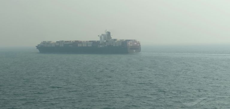 behta (Container Ship) - IMO 9349590, MMSI 422031300, Call Sign EPBQ8 under the flag of Iran