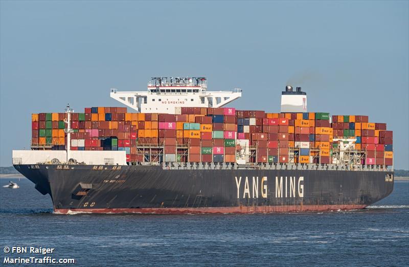 ym wellness (Container Ship) - IMO 9704623, MMSI 477737600, Call Sign VROO3 under the flag of Hong Kong