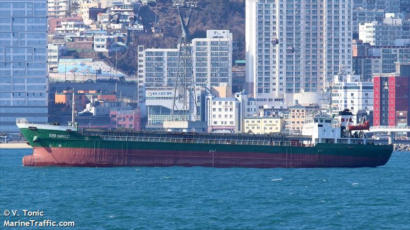 ever harvest (General Cargo Ship) - IMO 9140504, MMSI 511294000, Call Sign T8A2253 under the flag of Palau