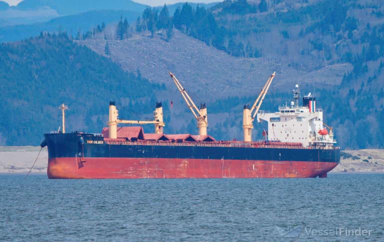 thor caliber (Bulk Carrier) - IMO 9440928, MMSI 563053600, Call Sign 9V8582 under the flag of Singapore