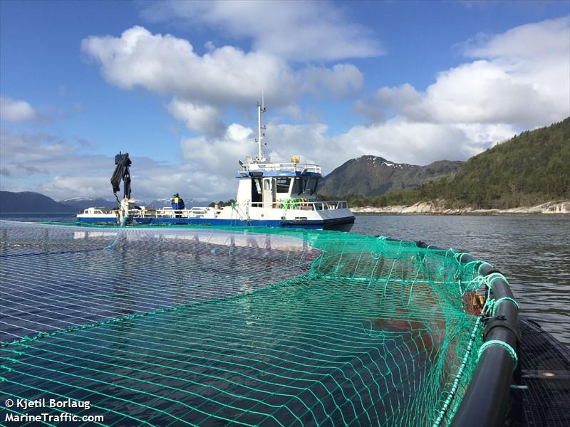 fuglsetfjord (Cargo ship) - IMO , MMSI 257004250, Call Sign LG5572 under the flag of Norway