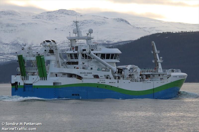 selvaag senior (Fishing Vessel) - IMO 9924132, MMSI 257127990, Call Sign LGOQ under the flag of Norway