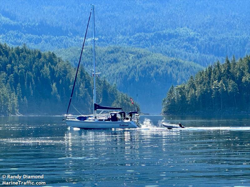 trilliant (Sailing vessel) - IMO , MMSI 316051237 under the flag of Canada