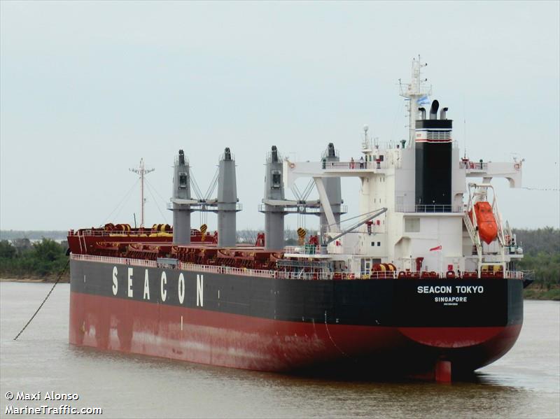 seacon tokyo (Bulk Carrier) - IMO 9941958, MMSI 563189400, Call Sign 9V8846 under the flag of Singapore