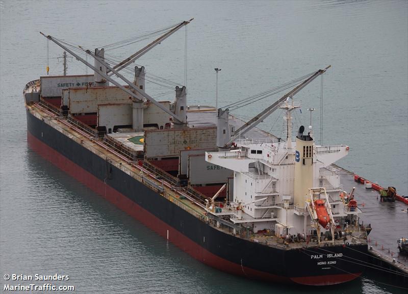 palm island (Bulk Carrier) - IMO 9624641, MMSI 477887300, Call Sign VRVI4 under the flag of Hong Kong