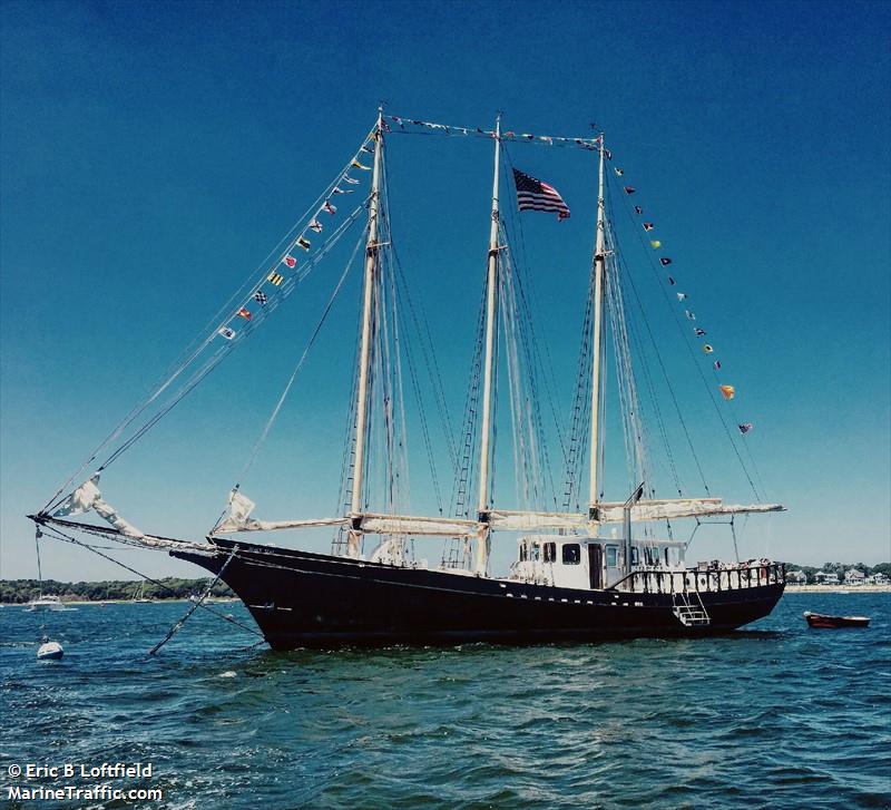 black seal (Sailing vessel) - IMO , MMSI 367470820, Call Sign WDF6116 under the flag of United States (USA)