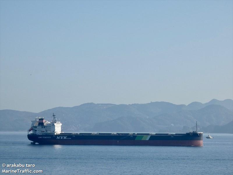 shoyo (Bulk Carrier) - IMO 9902964, MMSI 431847000, Call Sign 7KNY under the flag of Japan