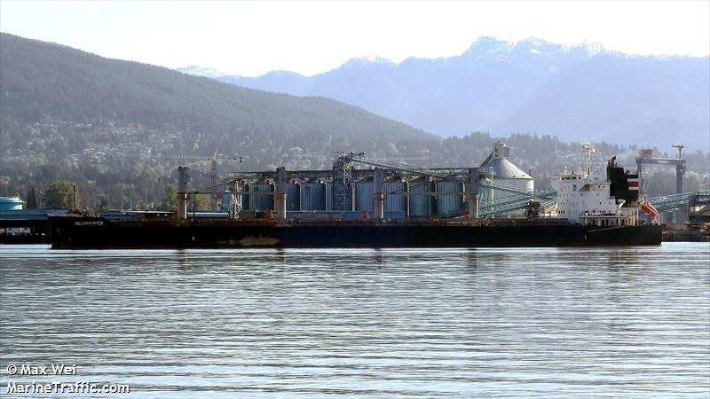 dsi drammen (Bulk Carrier) - IMO 9775141, MMSI 538010565, Call Sign V7A6223 under the flag of Marshall Islands