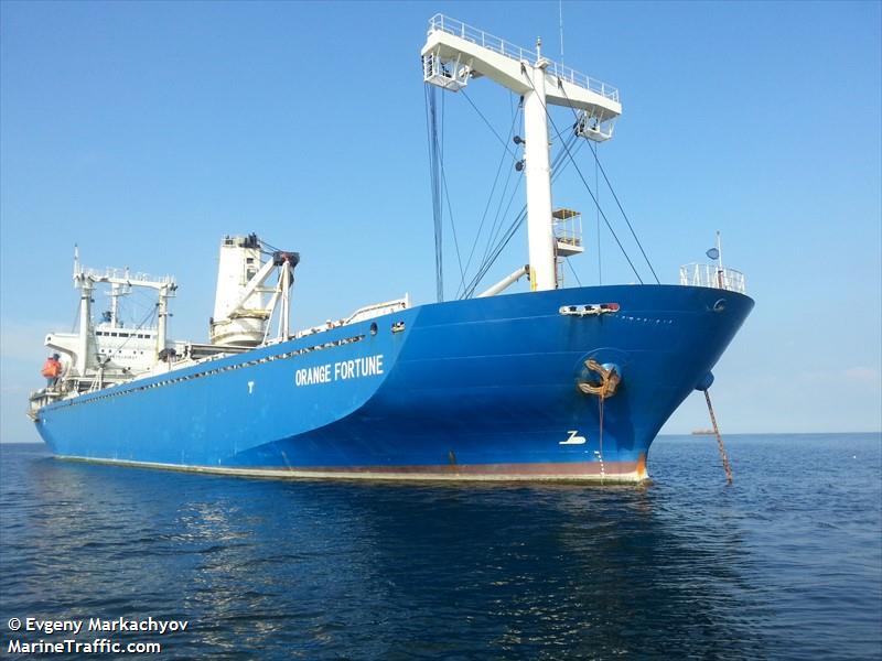 tai shun 88 (Aggregates Carrier) - IMO 8598900, MMSI 667001592, Call Sign 9LU2395 under the flag of Sierra Leone