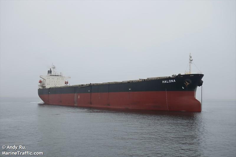 halona (Bulk Carrier) - IMO 9286920, MMSI 352002689, Call Sign 3E5003 under the flag of Panama