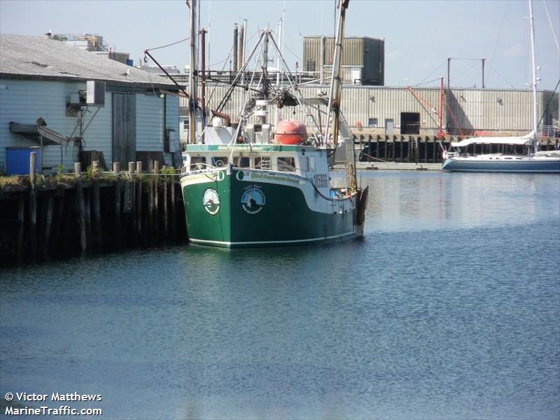 stephenson bernard (Fishing vessel) - IMO , MMSI 316015644, Call Sign CH 16 under the flag of Canada