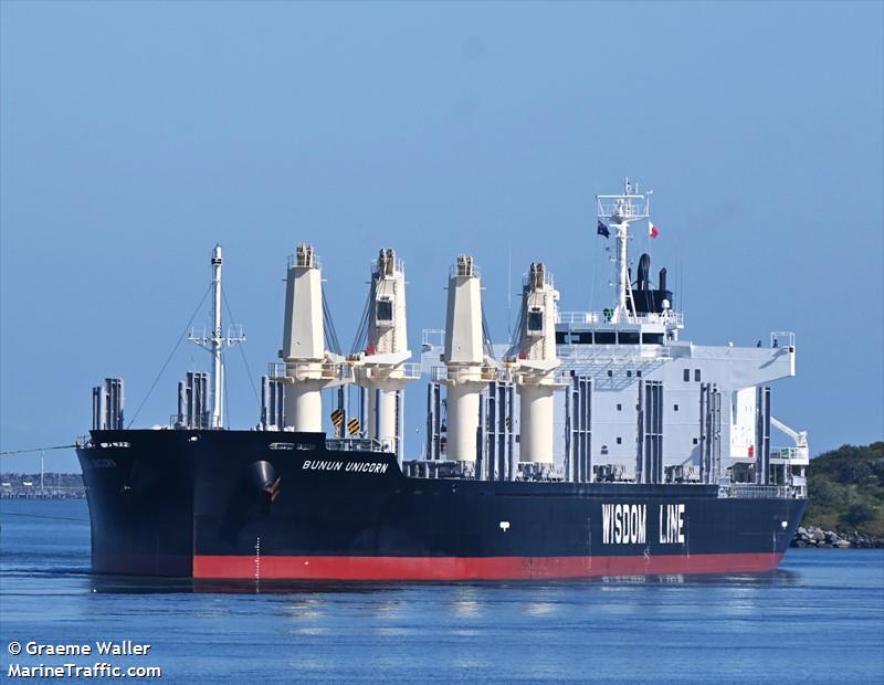 bunun unicorn (Bulk Carrier) - IMO 9949687, MMSI 352002632, Call Sign 3E4957 under the flag of Panama