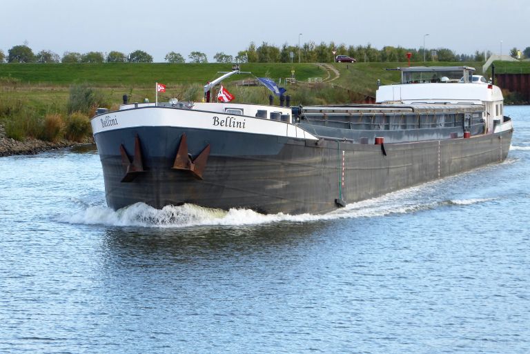 bellini (Cargo ship) - IMO , MMSI 205546490, Call Sign OT5464 under the flag of Belgium